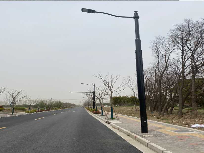 荆州区上海综合杆 太阳能路灯工程